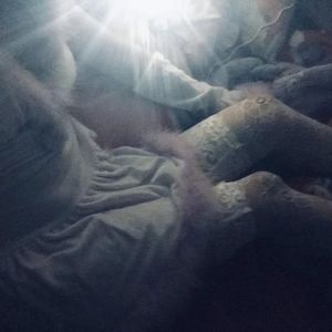 虐杀的视频网站
