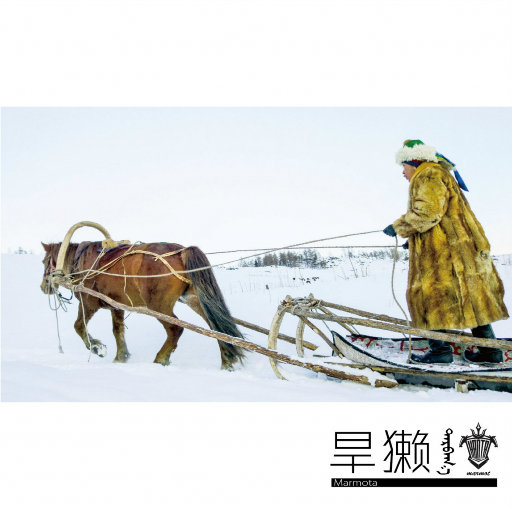 虐杀的视频网站
